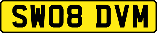 SW08DVM