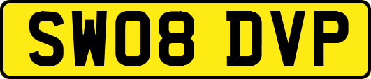 SW08DVP