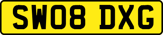 SW08DXG