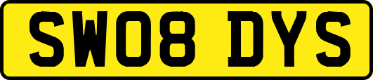 SW08DYS