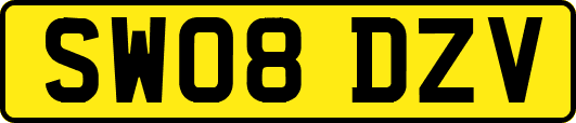 SW08DZV
