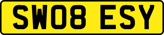 SW08ESY