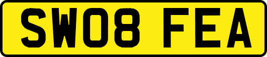 SW08FEA