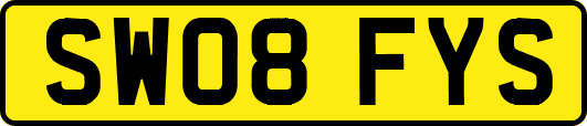 SW08FYS
