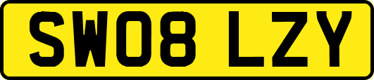 SW08LZY