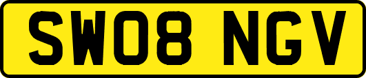 SW08NGV