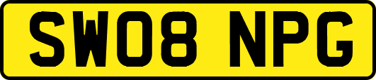 SW08NPG