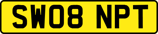 SW08NPT