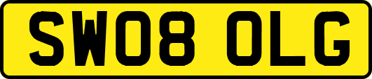 SW08OLG