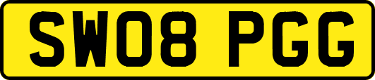 SW08PGG