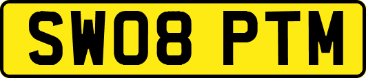 SW08PTM