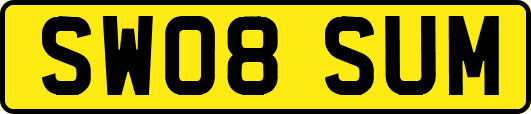SW08SUM