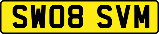 SW08SVM