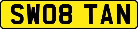 SW08TAN