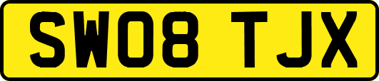 SW08TJX