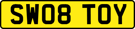 SW08TOY
