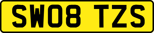 SW08TZS