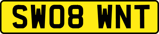SW08WNT