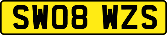 SW08WZS
