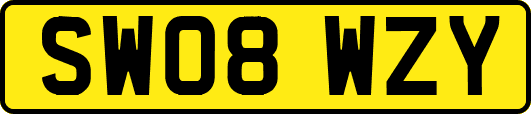 SW08WZY