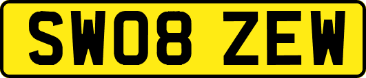 SW08ZEW