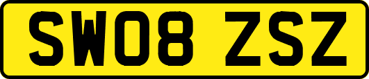 SW08ZSZ