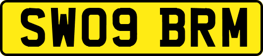 SW09BRM