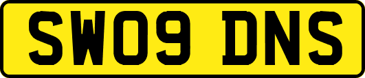 SW09DNS