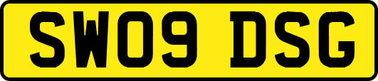 SW09DSG