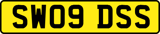 SW09DSS