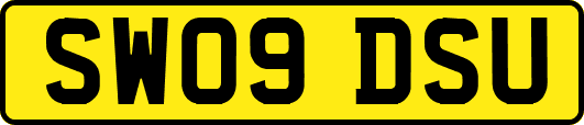 SW09DSU
