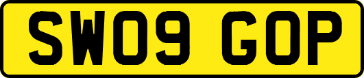 SW09GOP