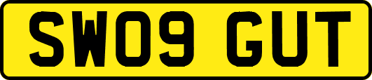 SW09GUT