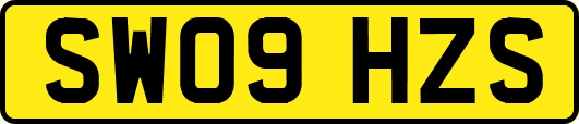 SW09HZS