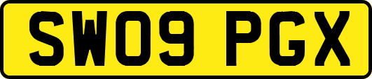 SW09PGX
