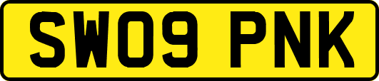 SW09PNK