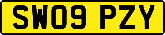 SW09PZY