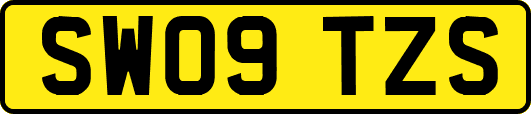 SW09TZS