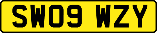 SW09WZY