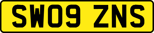SW09ZNS