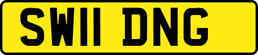 SW11DNG