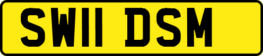 SW11DSM