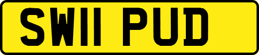 SW11PUD