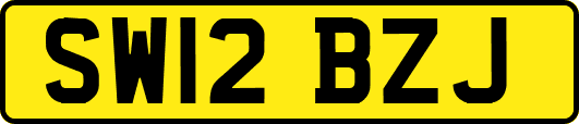 SW12BZJ