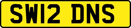 SW12DNS