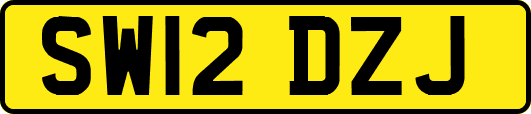 SW12DZJ