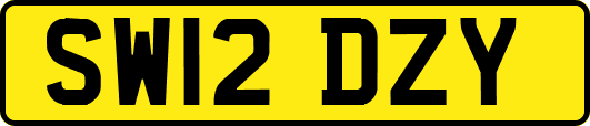SW12DZY