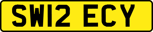 SW12ECY