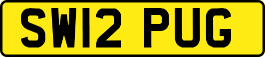 SW12PUG