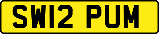 SW12PUM